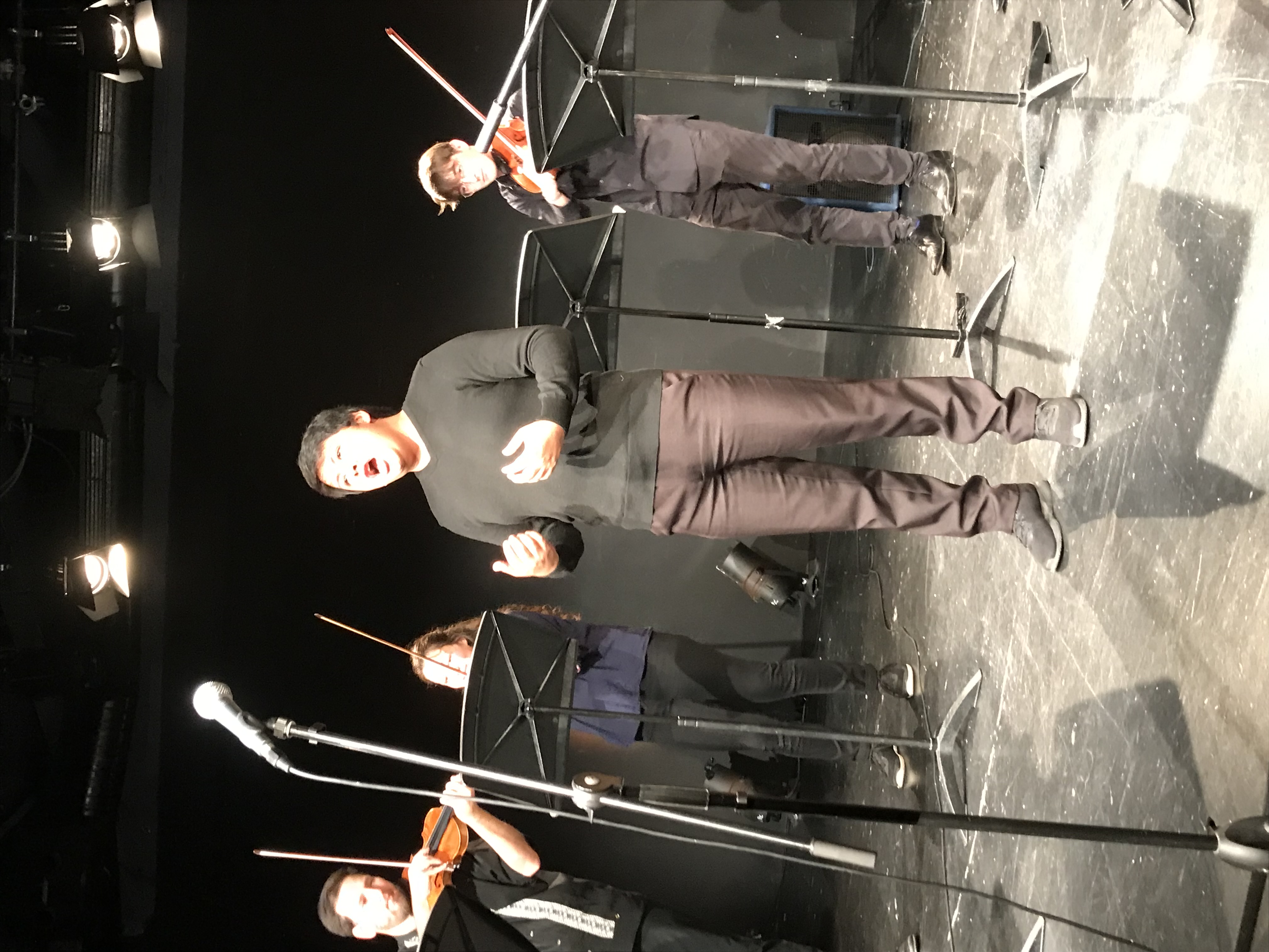 Rodrigo Alegre Vargas, Tenor